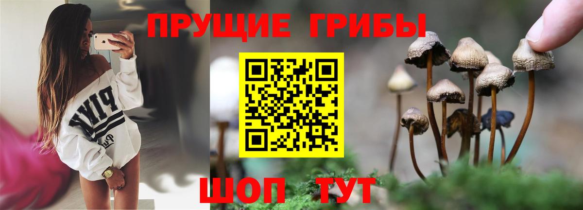 Псилоцибиновые грибы Psilocybine cubensis  Вход с VPN  Красноярск 
